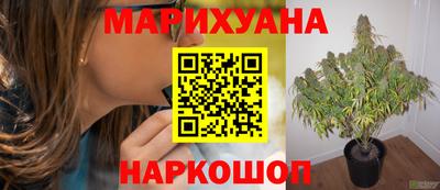 гашишное масло Кингисепп