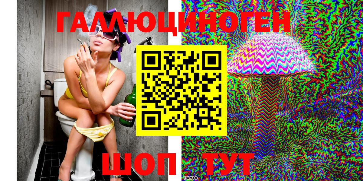 Псилоцибиновые грибы Psilocybe Жуковский